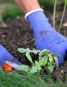 Atlas Nitrile Gardening Gloves - American Glove Company